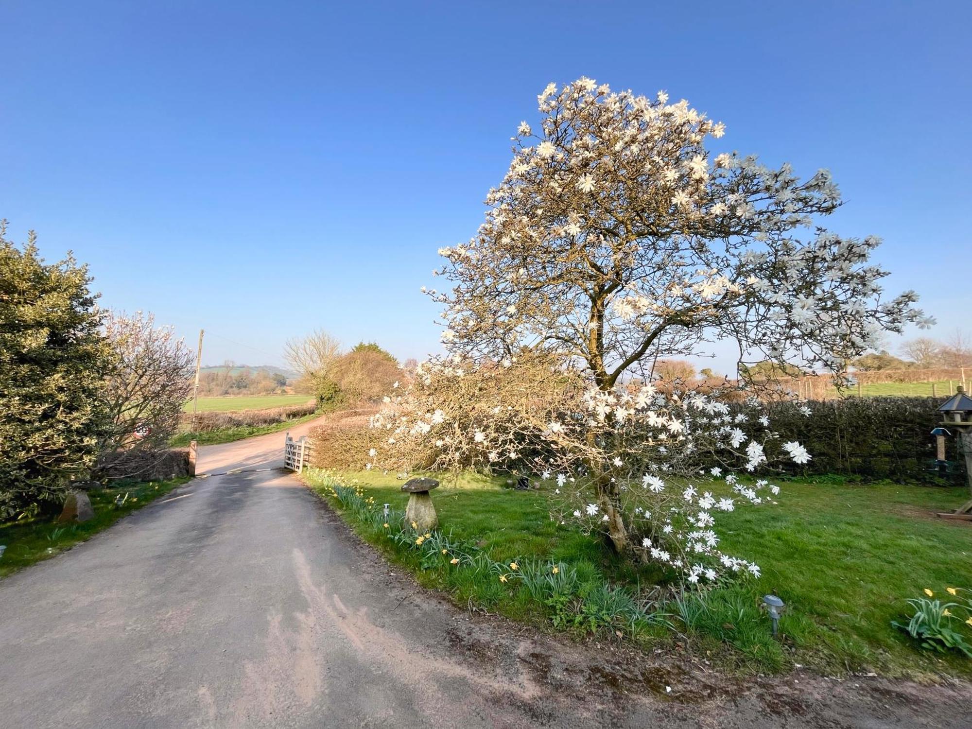 Guest Suite King Bed In Chew Valley Bath Somerset Chew Magna Екстериор снимка